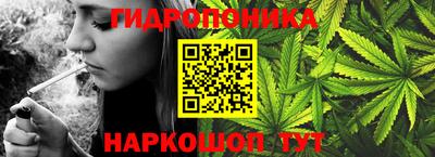 крисы Бузулук