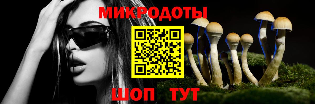 Рыбинск  Галлюциногенные грибы прущие грибы  Вход с VPN  Галлюциногенные грибы Psilocybine cubensis 