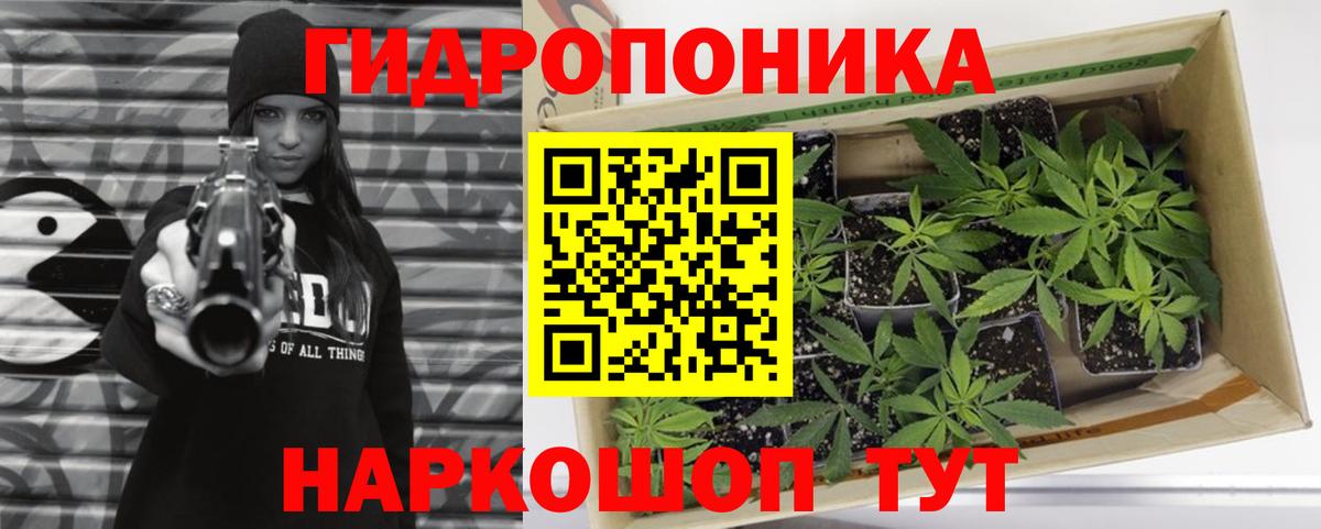 Шишки марихуана конопля Рыбинск